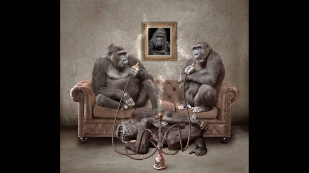 Почему русские смеются над Западом и как они воспринимают Запад?