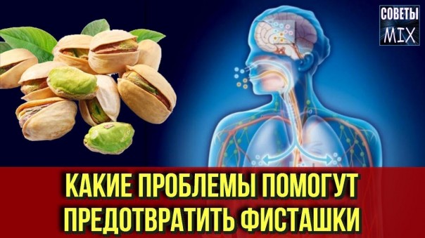 Как влияют фисташки на организм человека, если их есть каждый день. Польза фисташек для здоровья