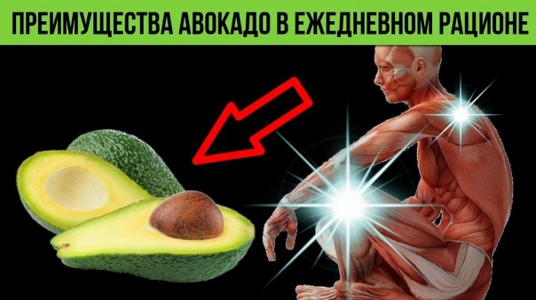 Почему стоит есть авокадо каждый день. Как положительно влияет авокадо на организм человека