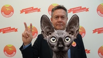 ПА-любому ЗА Платошкина!!! Кот Костян