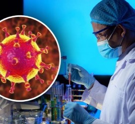 Ученые предвидели эпидемию коронавируса: как, откуда и куда