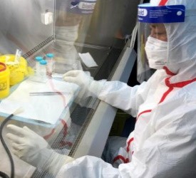 Дело вирусологов: новые факты о лабораторном происхождении источника COVID-19