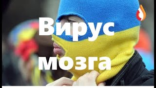 Вирус мозга | Как выжить на Украине | За все придется платить и др.