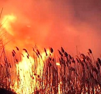 Город в огненном кольце: кадры мощного пожара в Ростове-на-Дону