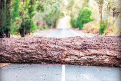 Паранойя: Жители американской глубинки заблокировали дорогу, чтобы к ним не проник коронавирус | Продажи оружия в США и Канаде продолжают расти