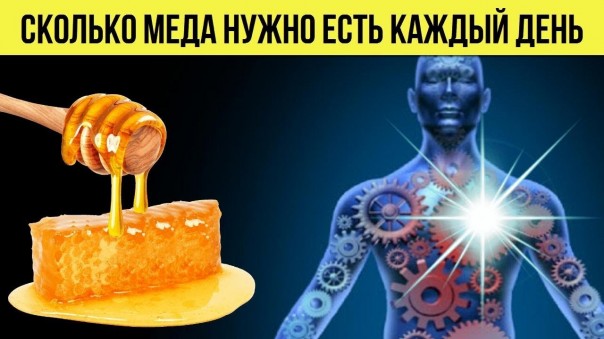 Сколько меда нужно есть каждый день, чтобы укрепить свое здоровье. Польза меда для организма человека