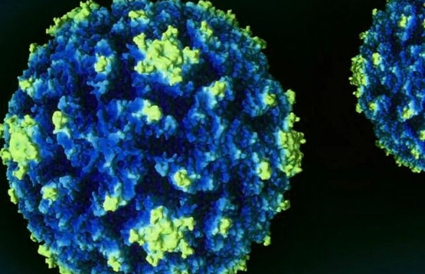 Число заражённых COVID-19 в США достигло 4661, скончались 85 человек | В Эквадоре объявлен режим ЧП | Число заражённых в Южной Корее достигло 8320