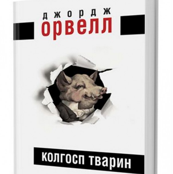 Литература по ту сторону фронта