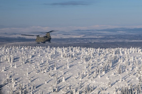 Учения сил НАТО Cold Response отменили из-за коронавируса