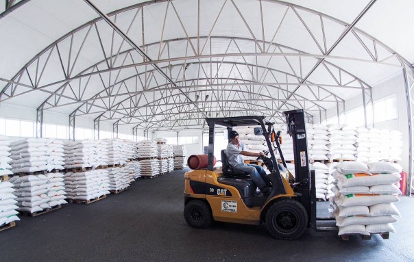 Россельхознадзор ввел запрет на экспорт всех видов круп