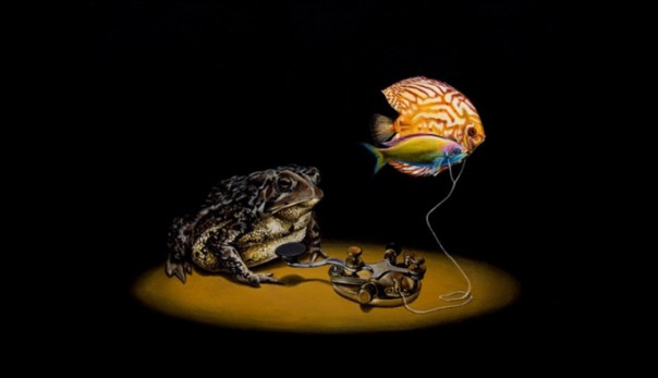 Не надо квакать! Андрей Фефелов