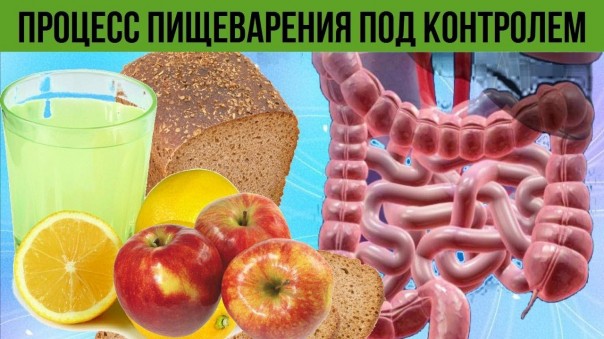 Эти 5 продуктов моментально избавят Вас от проблем с кишечником. Вот как наладить процесс пищеварения