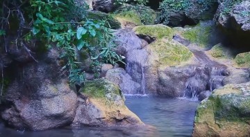 Как природа хороша – восторгается душа. Звуки природы для отдыха и медитации