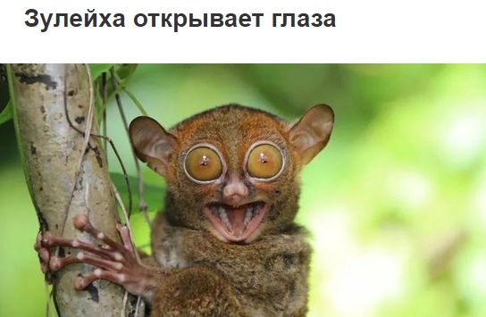 «Зулейха, раздвигай булки». Скандальный конфуз на главной кнопке