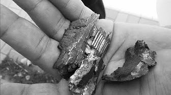 «За мамой охотился самолет»