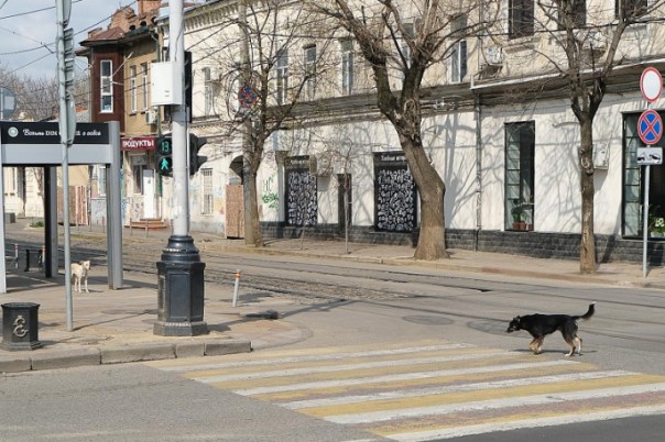 Кто круче? Кто жёстче? Кубанский губернатор запретил пользоваться личным автотранспортом