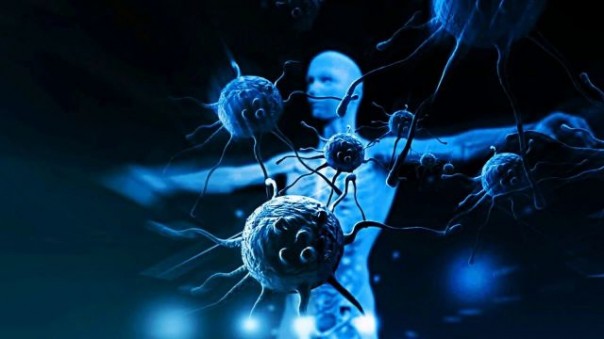 «А-а-а-а! Мы все умрем!» или «Пох! Это не опаснее насморка»?