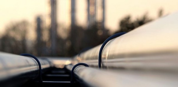 Реальная причина ненависти Лукашенко и Науседы – вовсе не коронавирус