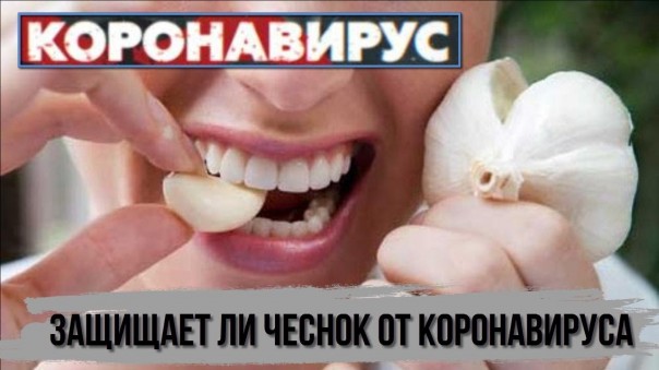 Защищает ли чеснок от коронавируса. Укрепление иммунитета в период коронавирусной инфекции