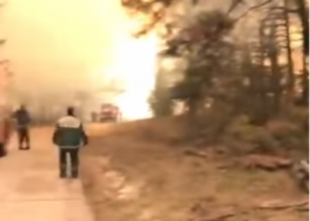 "Наш метод тушения пожаров - самовыгорание!". Спасатели с матами убегают от огня