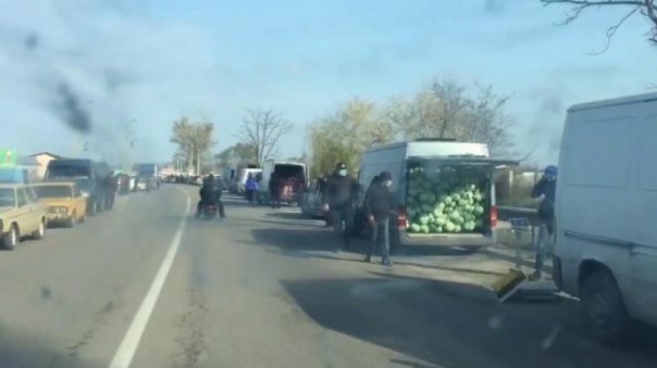 В Херсонской области селяне из-за карантина и закрытия рынков выбросили тонны гниющих овощей и фруктов