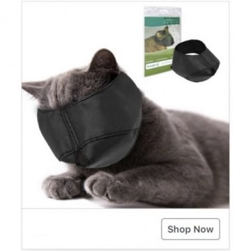 Забавные вещи, с помощью которых люди решили защитить себя от коронавируса