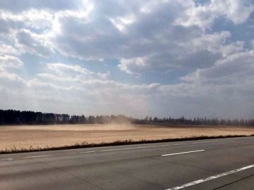 Из-за уничтожения лесов Украина превращается в пустыню Сахару