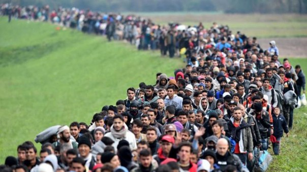 Одеяла, снятые с больных оспой. Анатолий Вассерман