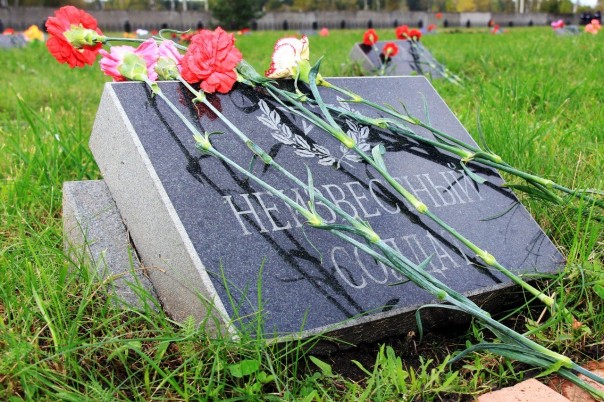 Плевок на солдатские могилы. Юлия Витязева