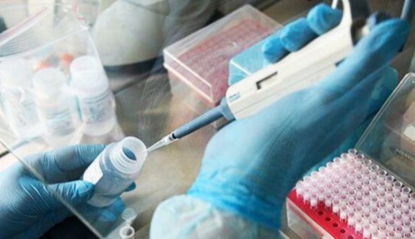 В Белоруссии признали, что победить Covid-19 в стране не удастся