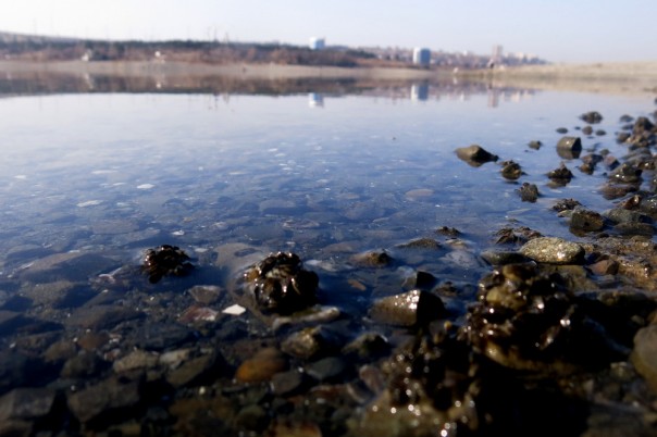 В Америке назвали причину, по которой Россия может объявить Украине войну