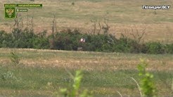 Гамэрыка з намы! Укрофашисты подняли на своих позициях флаг США