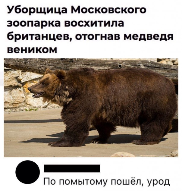 Весёлые картинки # 16