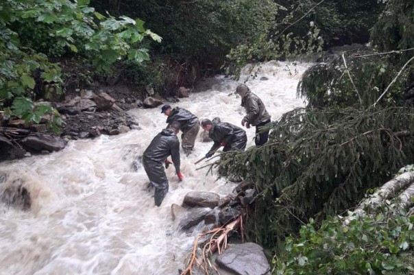Александр Семченко: Ужас на Прикарпатье. Есть жертвы