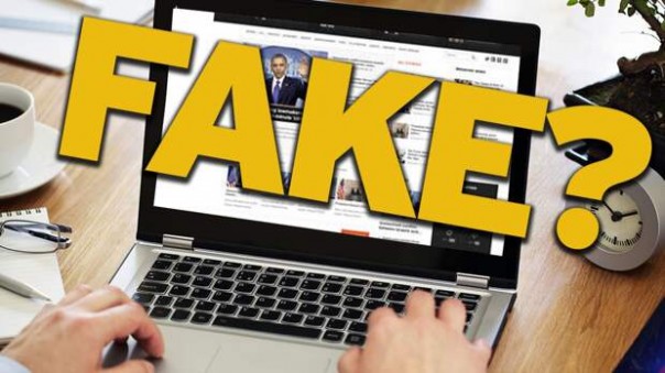 НКО «Голос» вбрасывает подделки о голосовании по поправкам по указке Запада