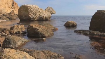 Каменная черепаха