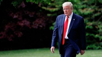 Сдала дядю с потрохами: племянница Трампа написала книгу