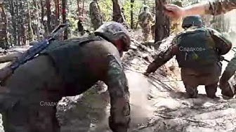 Иностранные особенности дрессировки укровояк