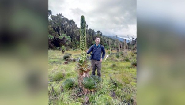 Суд Шри-Ланки освободил россиян, задержанных по делу о сборе жуков