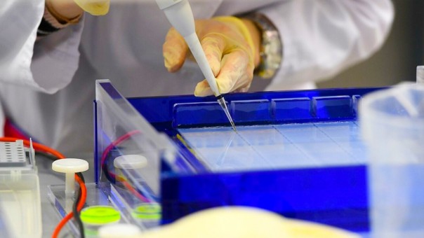 В Британии обвинили Россию в попытке украсть данные о вакцине от COVID-19