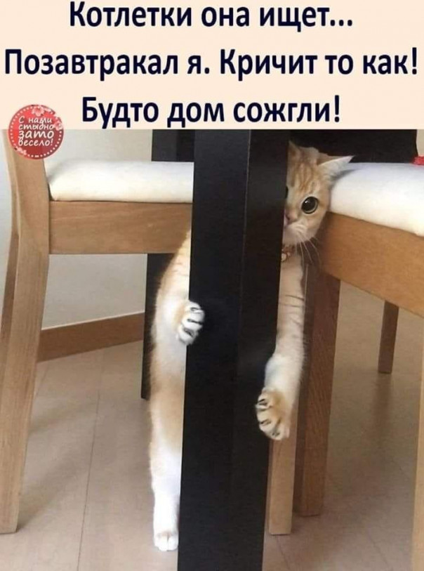 Весёлые картинки # 30