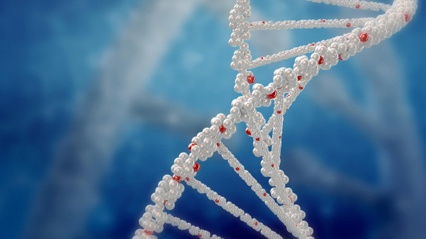 Очная вставка: откуда в SARS-CoV-2 фрагмент человеческого гена