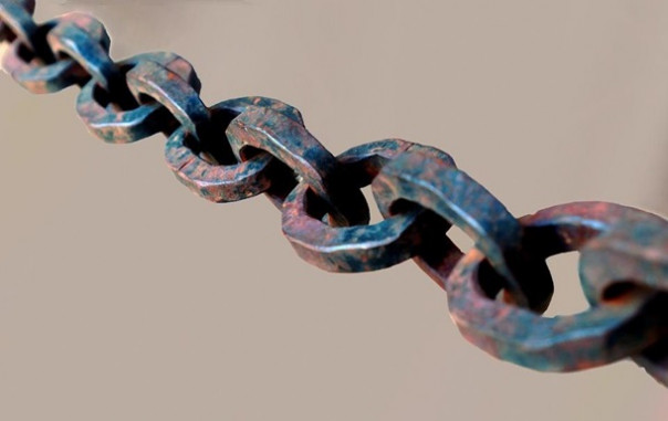 Под Николаевом супруги 10 лет держали на цепи подопечного пенсионера