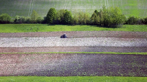 В ЛНР тракторист подорвался во время сельхозработ