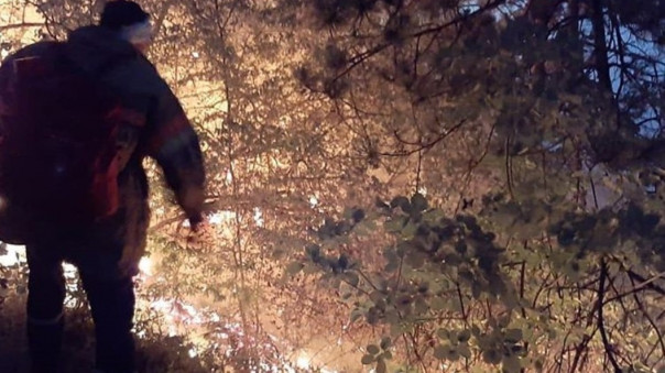 Под Новороссийском полыхает четыре гектара леса