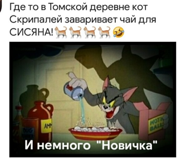 Steigan (Норвегия): цирк с «Новичком» вернулся