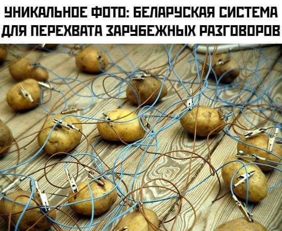 Политологи и журналисты обвинили Лукашенко в пранке с нашумевшим перехватом записи "Варшава - Берлин"