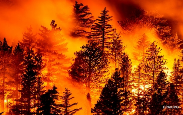 Катастрофа в США. Целые города сожжены дотла, огненные смерчи, массовые смерти и всеобщая эвакуация