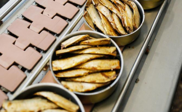 «Происки» Кремля ни при чем: Русские шпроты «оккупировали» Латвию