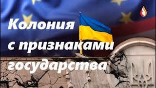 Колония с признаками государства | Айти Скоморох | Гарант 95 квартала в Брюсселе